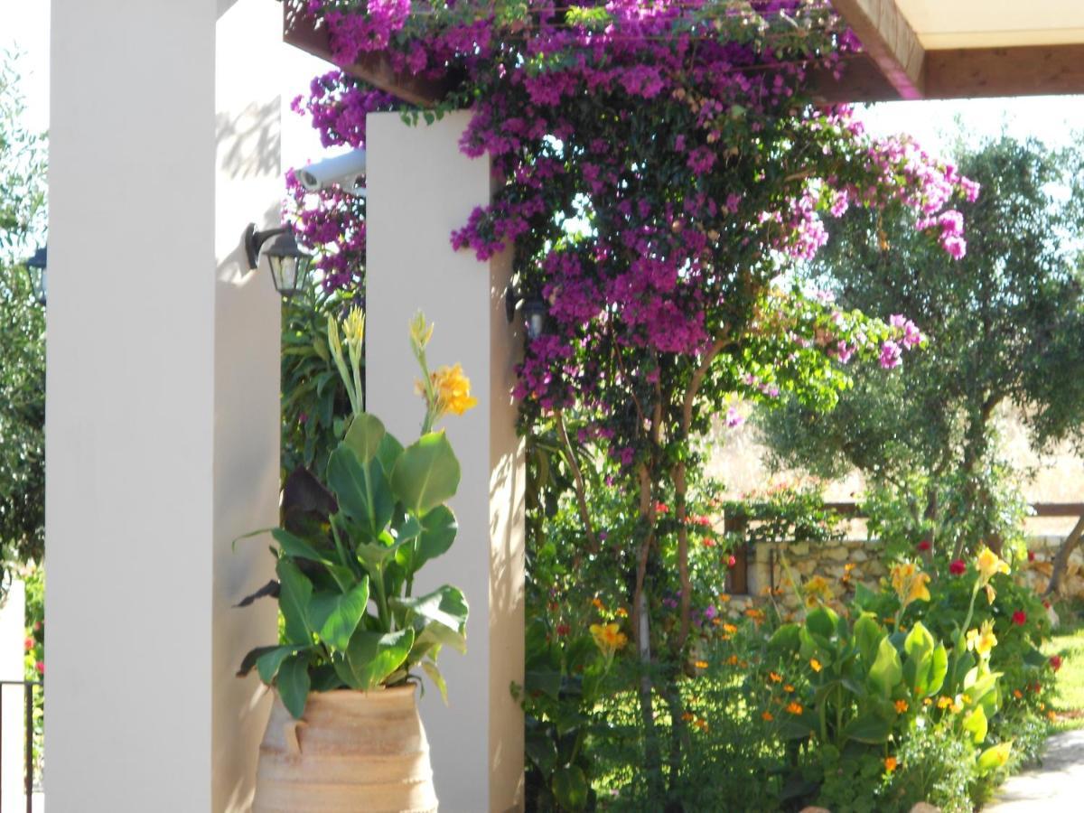 Livadaki Village Hotel Skala (Kefalonia) Exterior foto