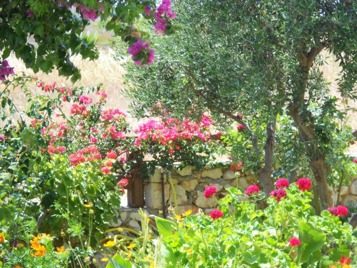 Livadaki Village Hotel Skala (Kefalonia) Exterior foto