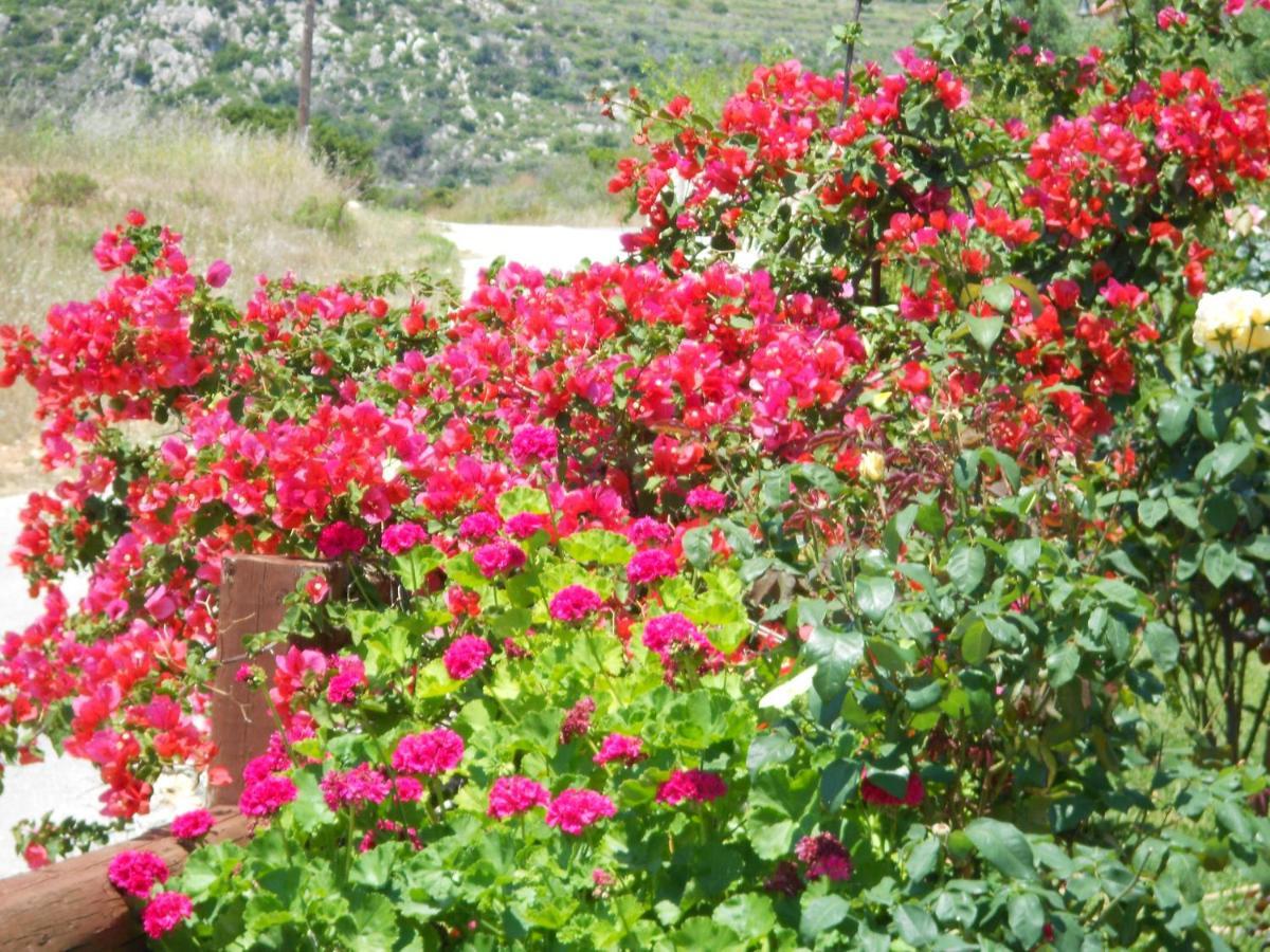 Livadaki Village Hotel Skala (Kefalonia) Exterior foto